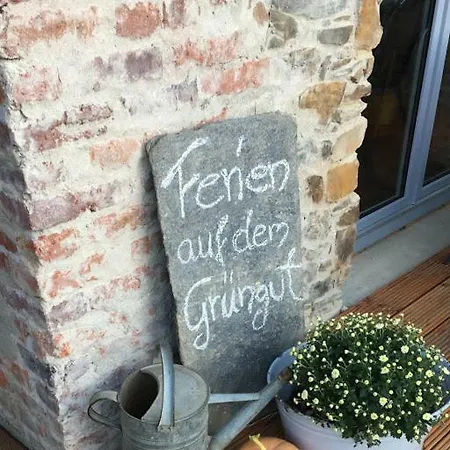 Gruengut *