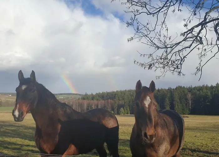 Gruengut Weckersdorf
